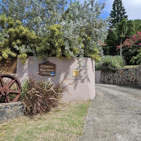 Habitation Capado Deshaies Exterior foto